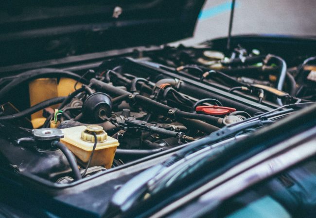 pexels-georgesultan-1409999